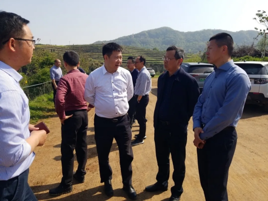 岁序更替，华章再启 | 明起集团年度回顾与新年致辞